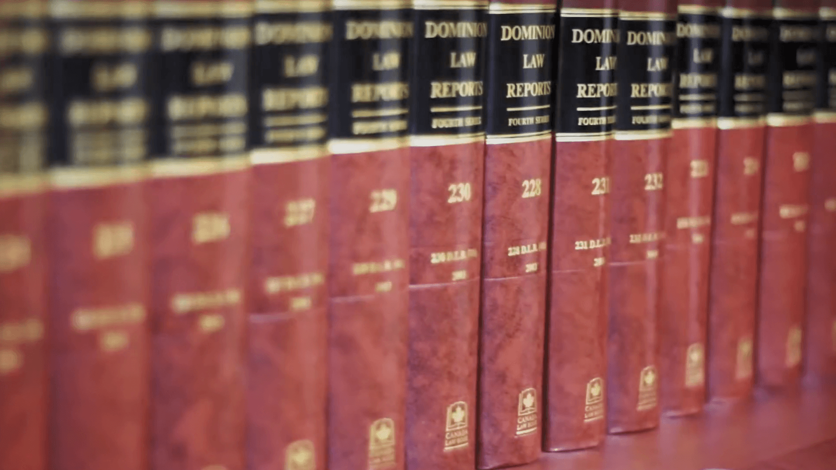 Disability Law Intensive